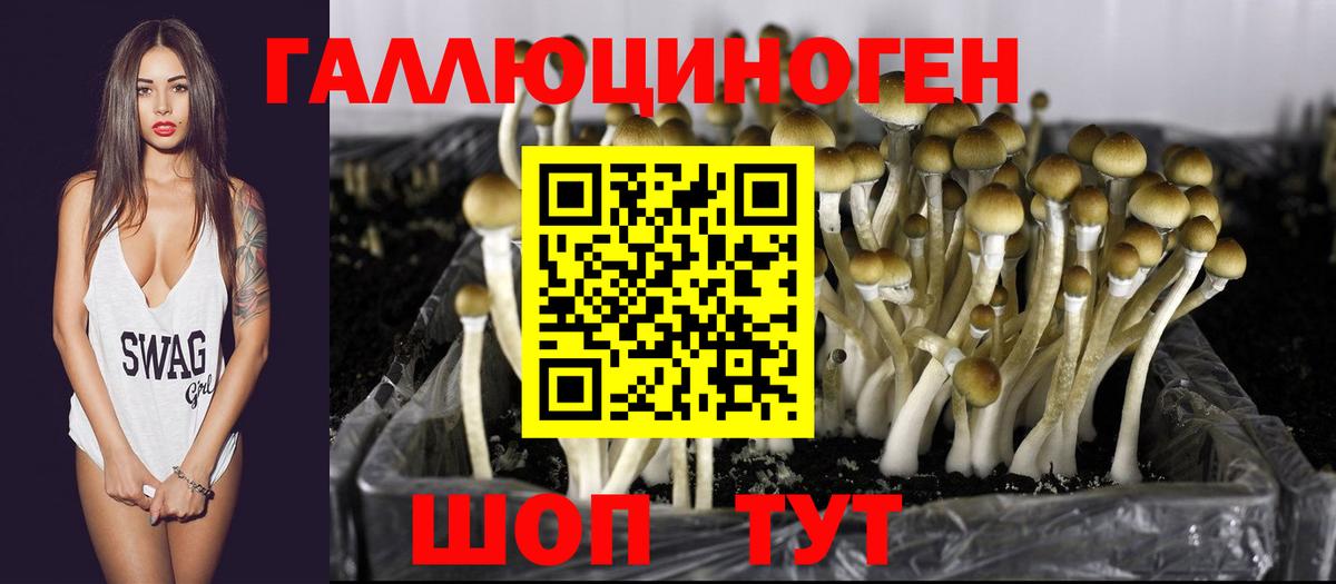 Орехово-Зуево  Галлюциногенные грибы ЛСД  Вход с VPN 
