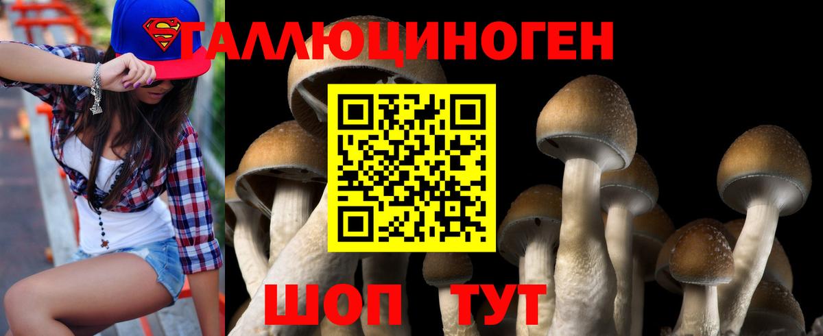 Псилоцибиновые грибы ЛСД Орехово-Зуево